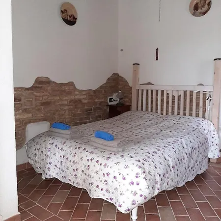 Fiore Selvatico - Con Piscina Montedinove
